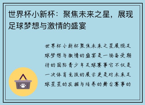 世界杯小新杯：聚焦未来之星，展现足球梦想与激情的盛宴
